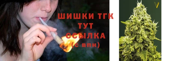 a pvp Аркадак