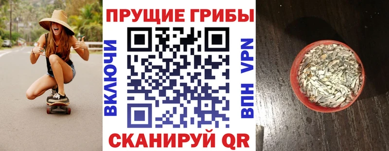 Псилоцибиновые грибы прущие грибы  купить наркотик  Сортавала 